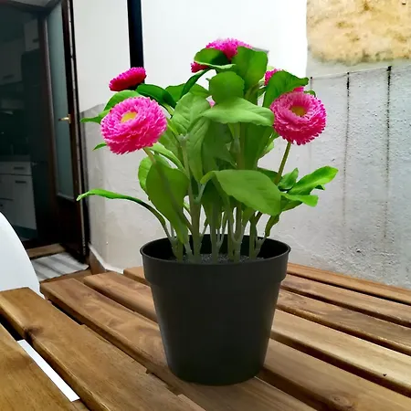 Апартаменты Oasis Galindo Flat Севилья